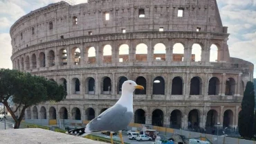 Climate Forecasts Rome