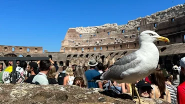 Climate Forecast Rome, italy Wednesday 17 January